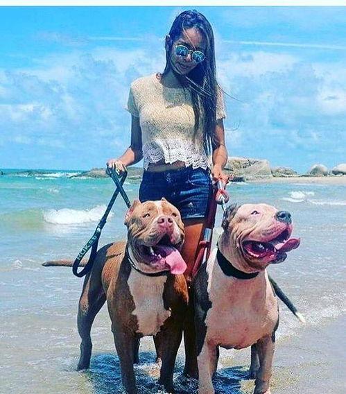 女人与公犬做视频,女人与公犬的禁忌之恋