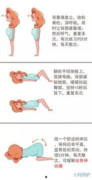 盆底肌肉训练视频