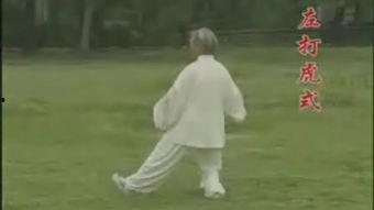 太极拳85式视频,动静结合，养生健身之道
