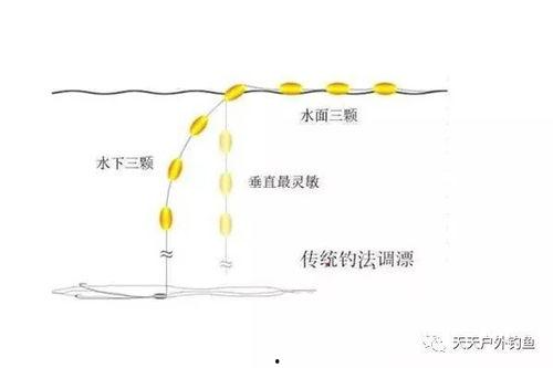 调漂视频图解,轻松掌握钓鱼调漂秘诀