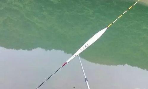 钓鱼怎么调漂视频